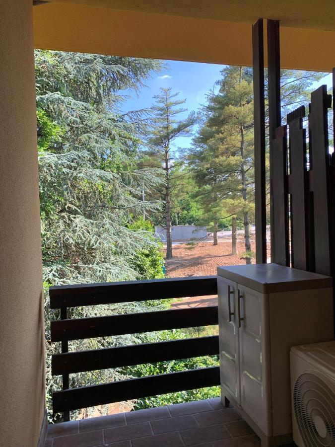 Como Lake Milano Dream Apartment Guanzate Bagian luar foto